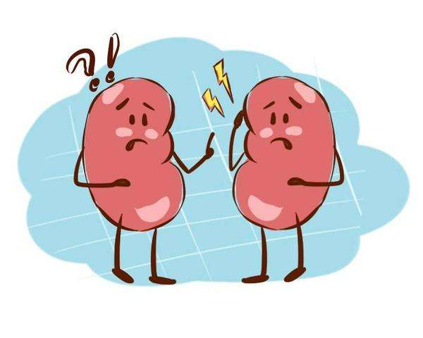 健康養(yǎng)生小知識(shí)！腎衰竭的早期癥狀表現(xiàn)有哪些？