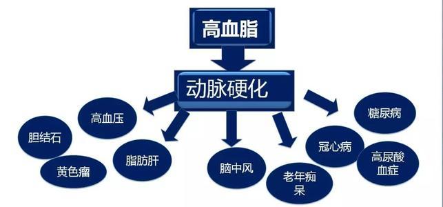 高血脂一般會(huì)產(chǎn)生什么樣的危害呢？高血脂有什么危害？